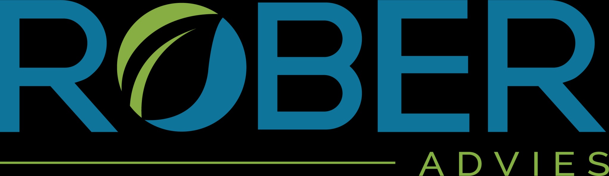 Rober Advies bv